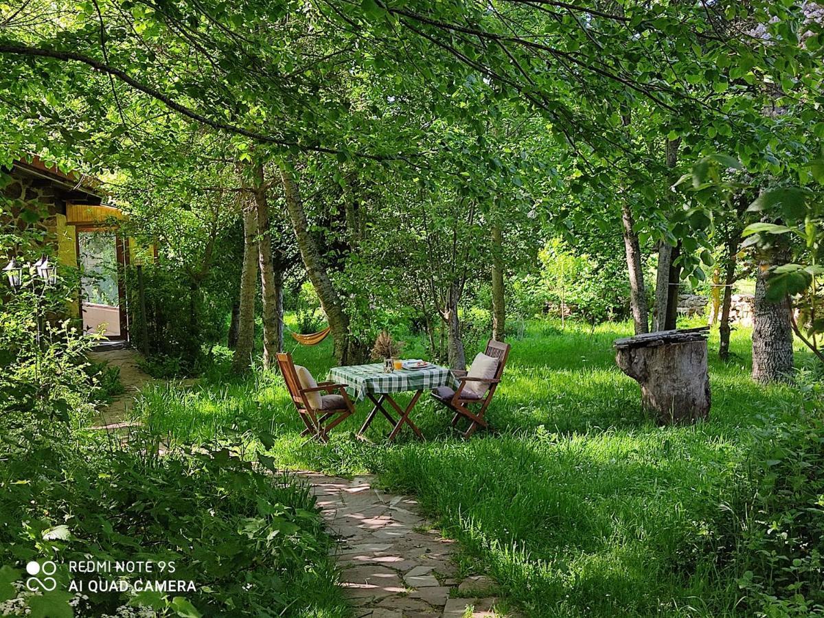 منزل الضيف Valberzoso  في Centro Jardin Mandala المظهر الخارجي الصورة